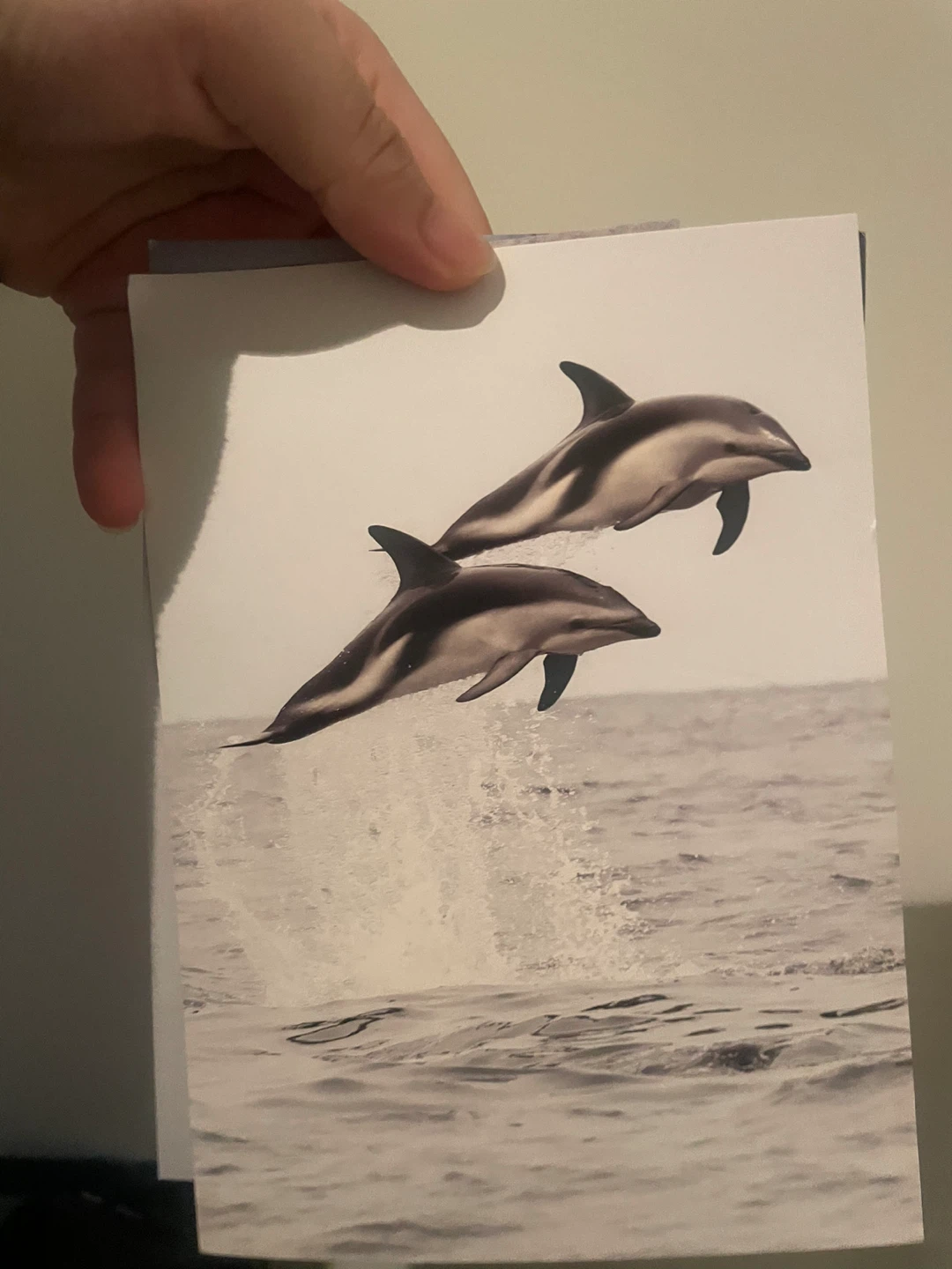 Set of 5 Assorted Art Postcards - photo 3