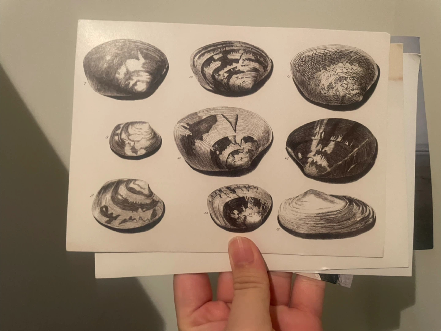 Set of 5 Assorted Art Postcards