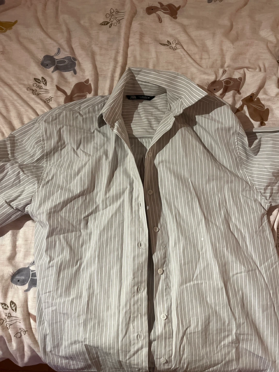 ZARA Striped Button-Up Shirt