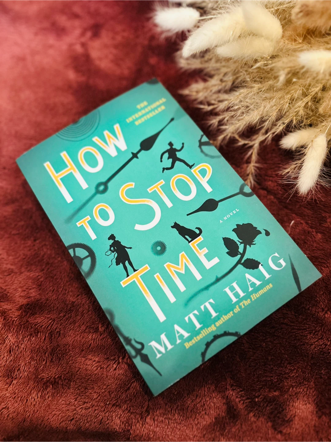 How to Stop Time Novel by Matt Haig
