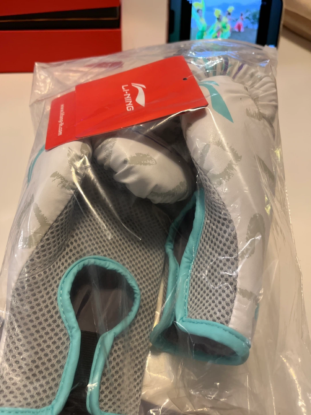 Li-Ning Boxing Gloves