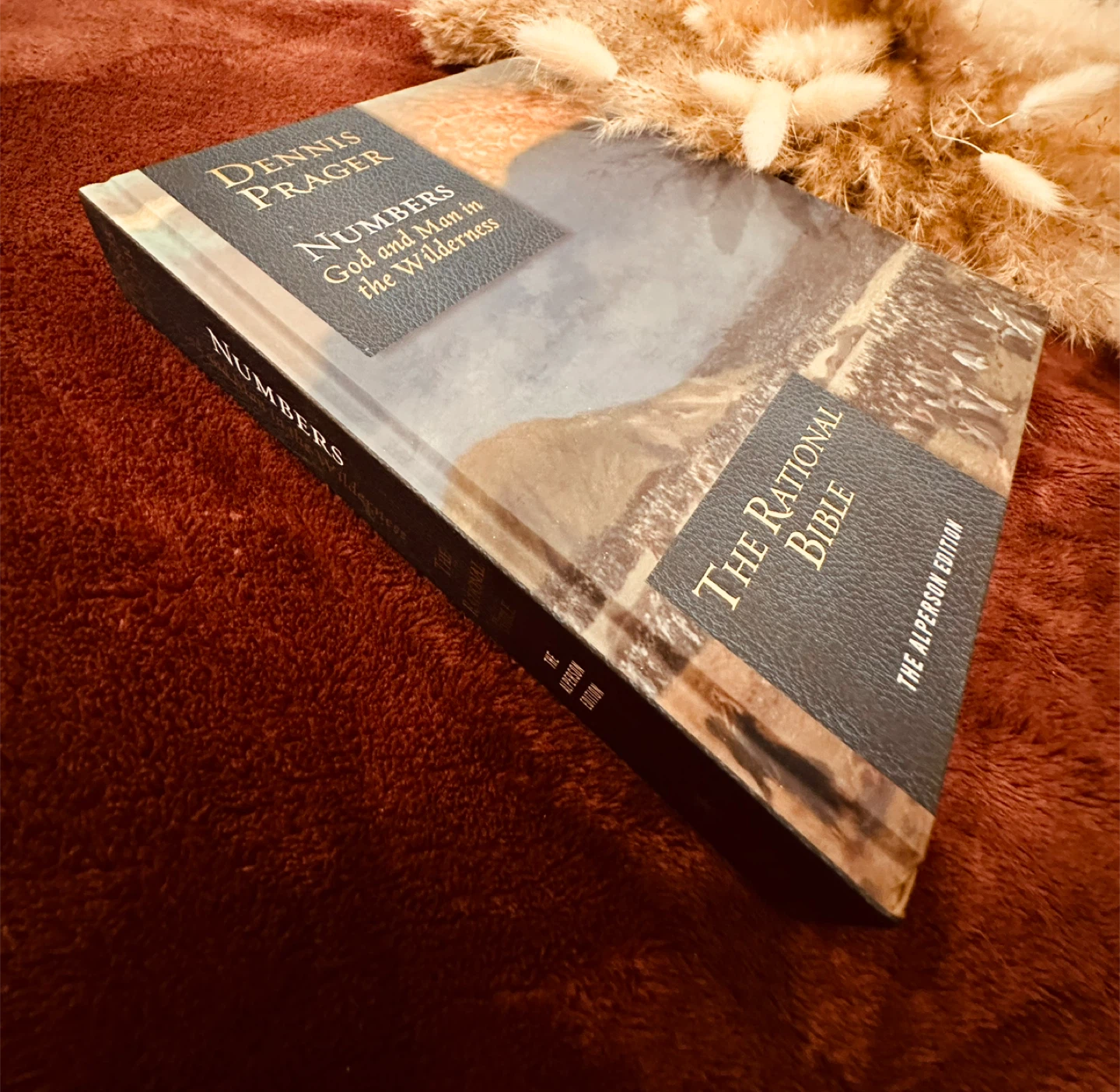 The Rational Bible: Numbers, God and Man in the Wilderness - photo 2