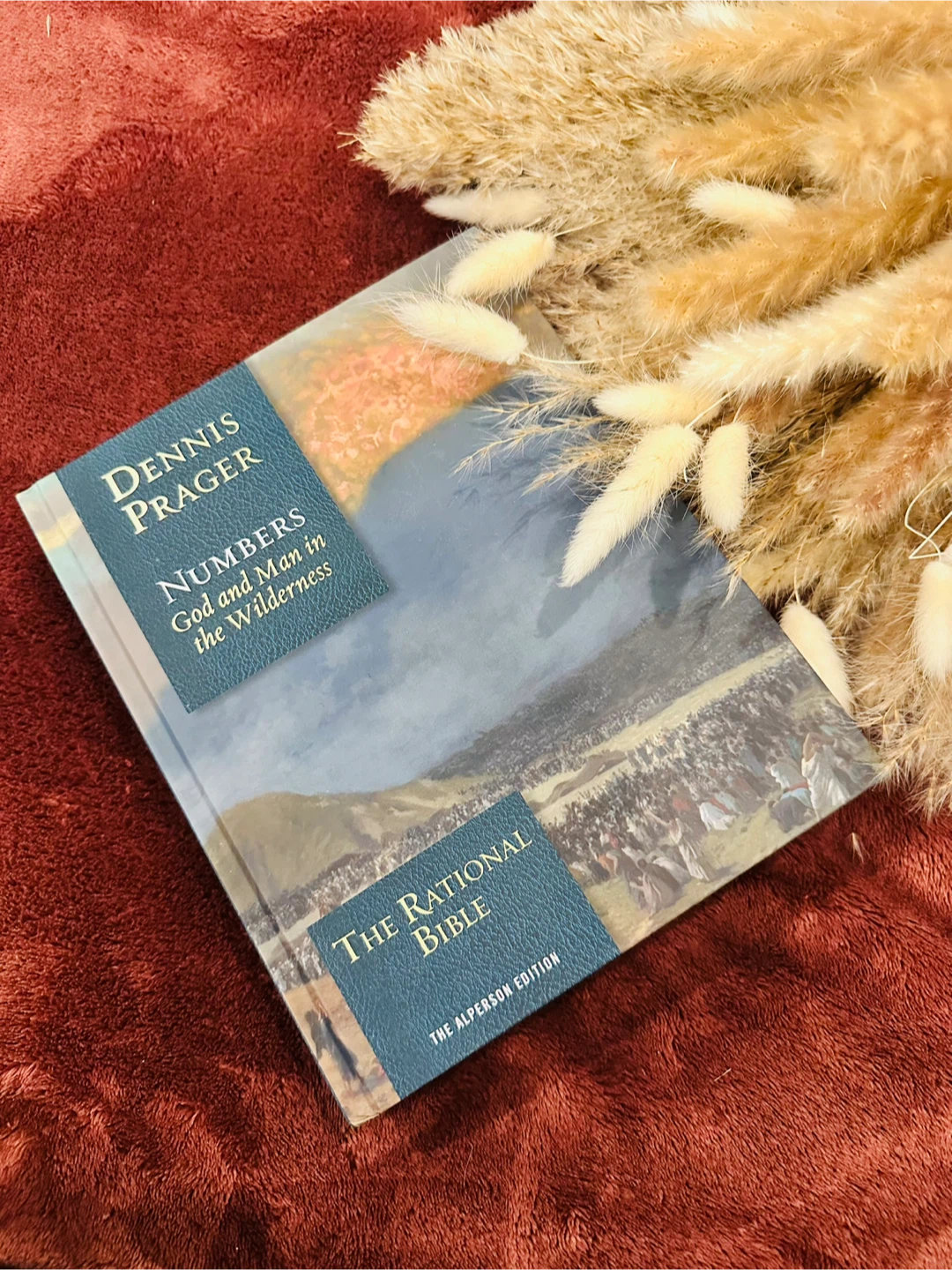 The Rational Bible: Numbers, God and Man in the Wilderness