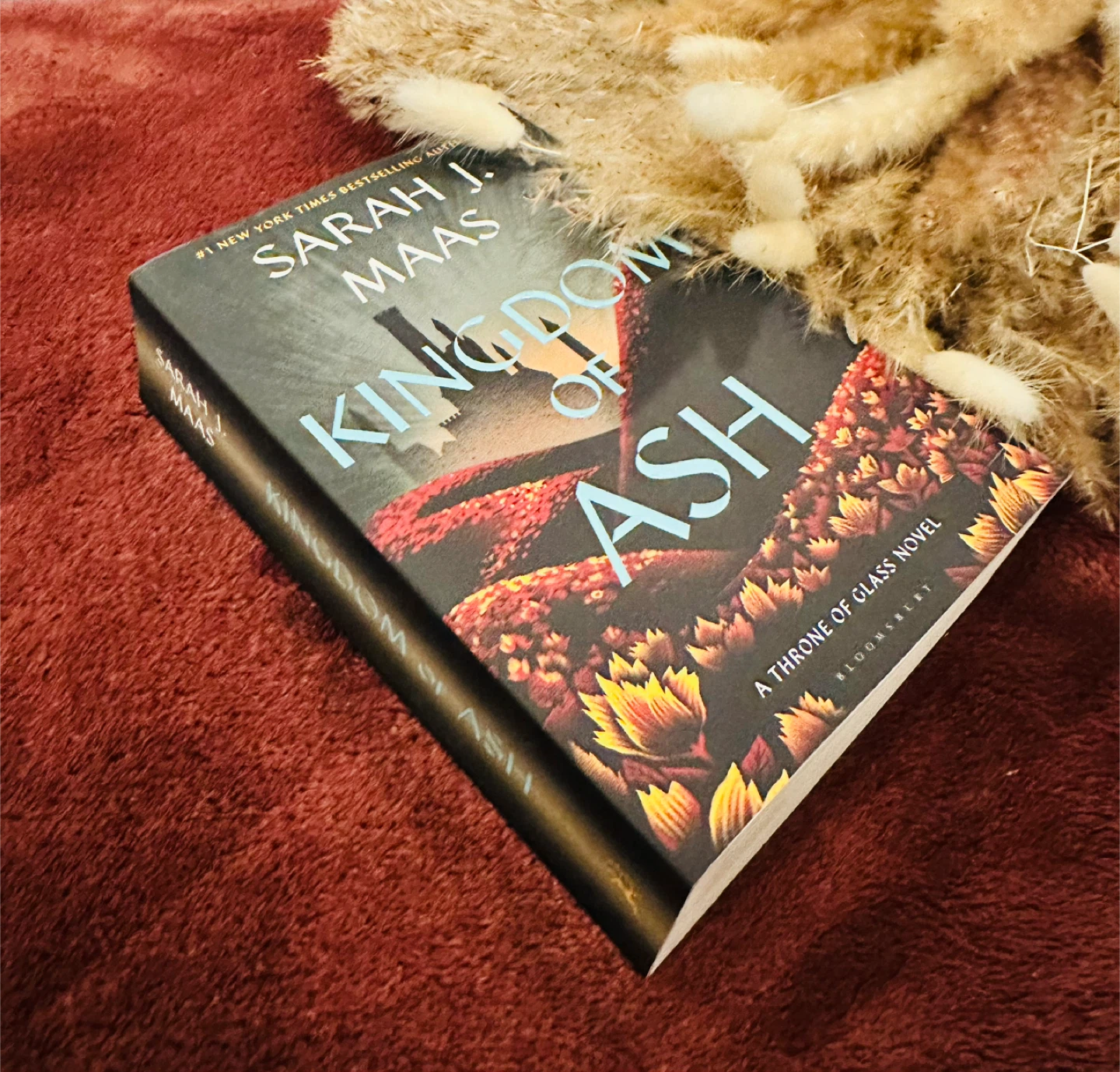 Kingdom of Ash by Sarah J. Maas (A Throne of Glass Novel) - photo 2