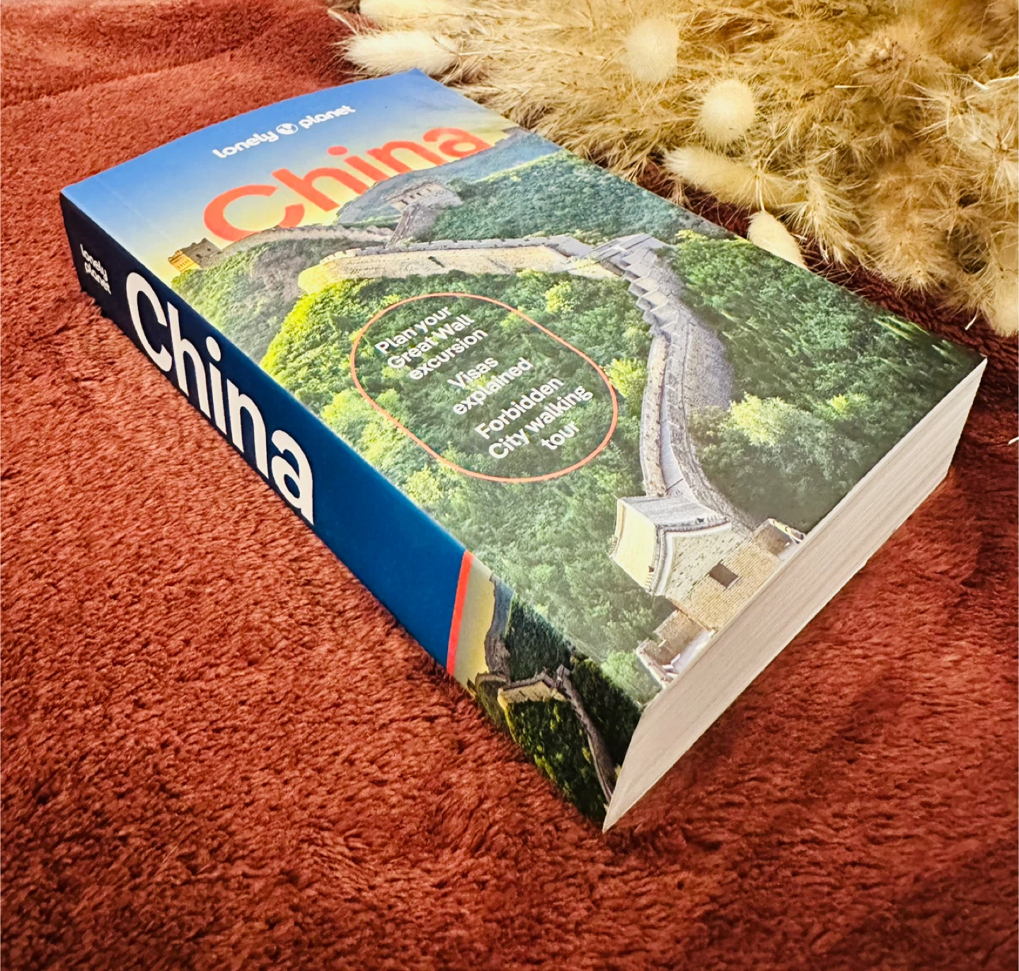 Lonely Planet China Travel Guide Book - photo 2