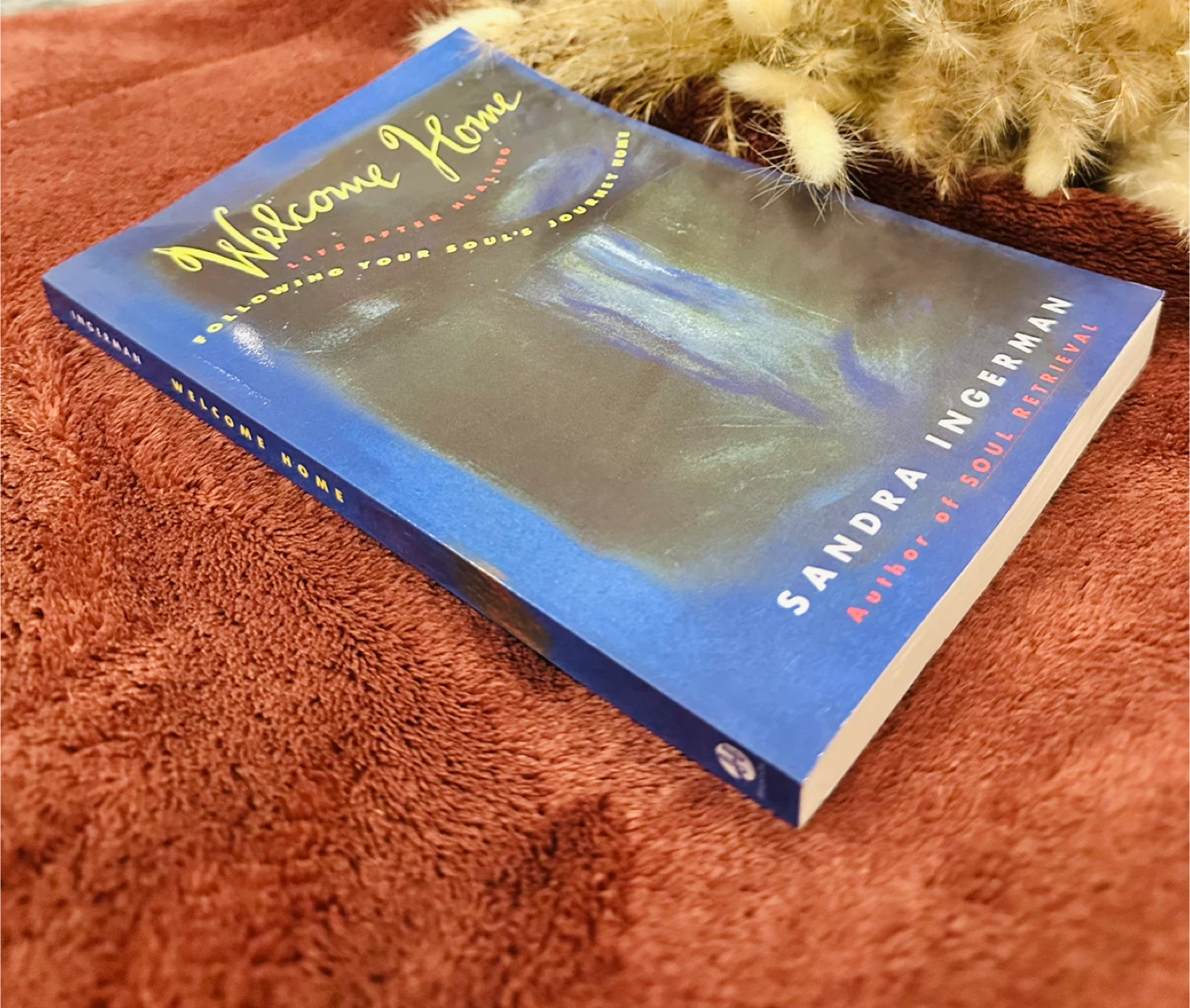 Your Soul's Journey Home by Sandra Ingerman - photo 2