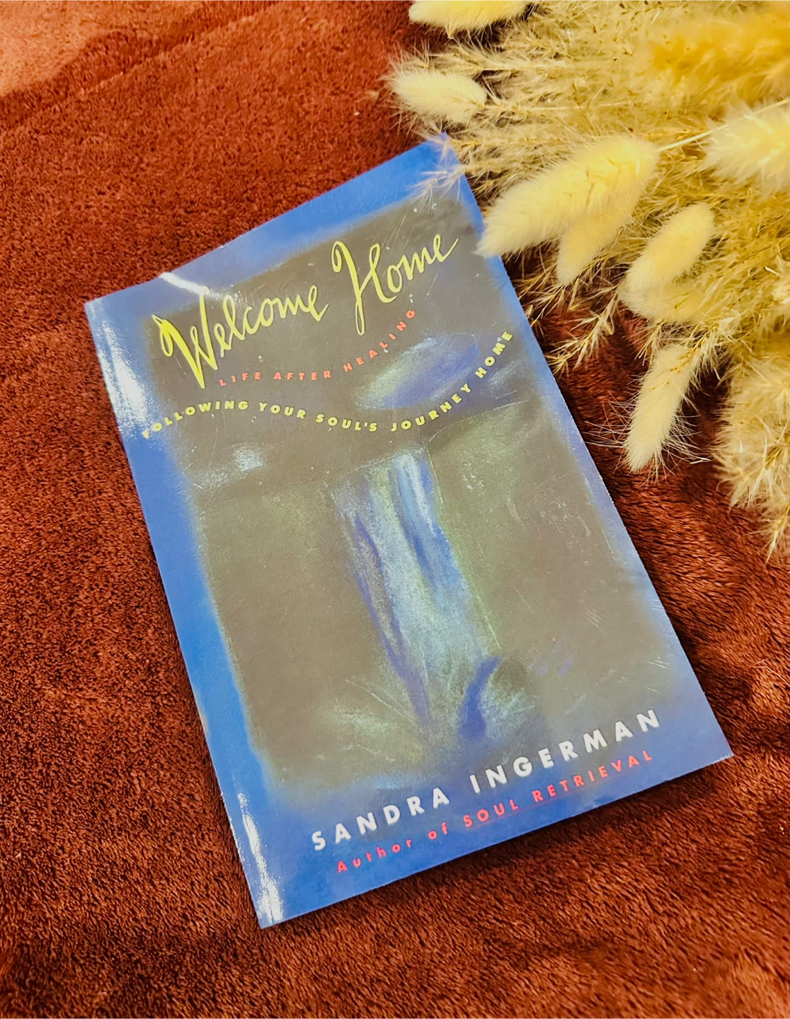 Your Soul's Journey Home by Sandra Ingerman