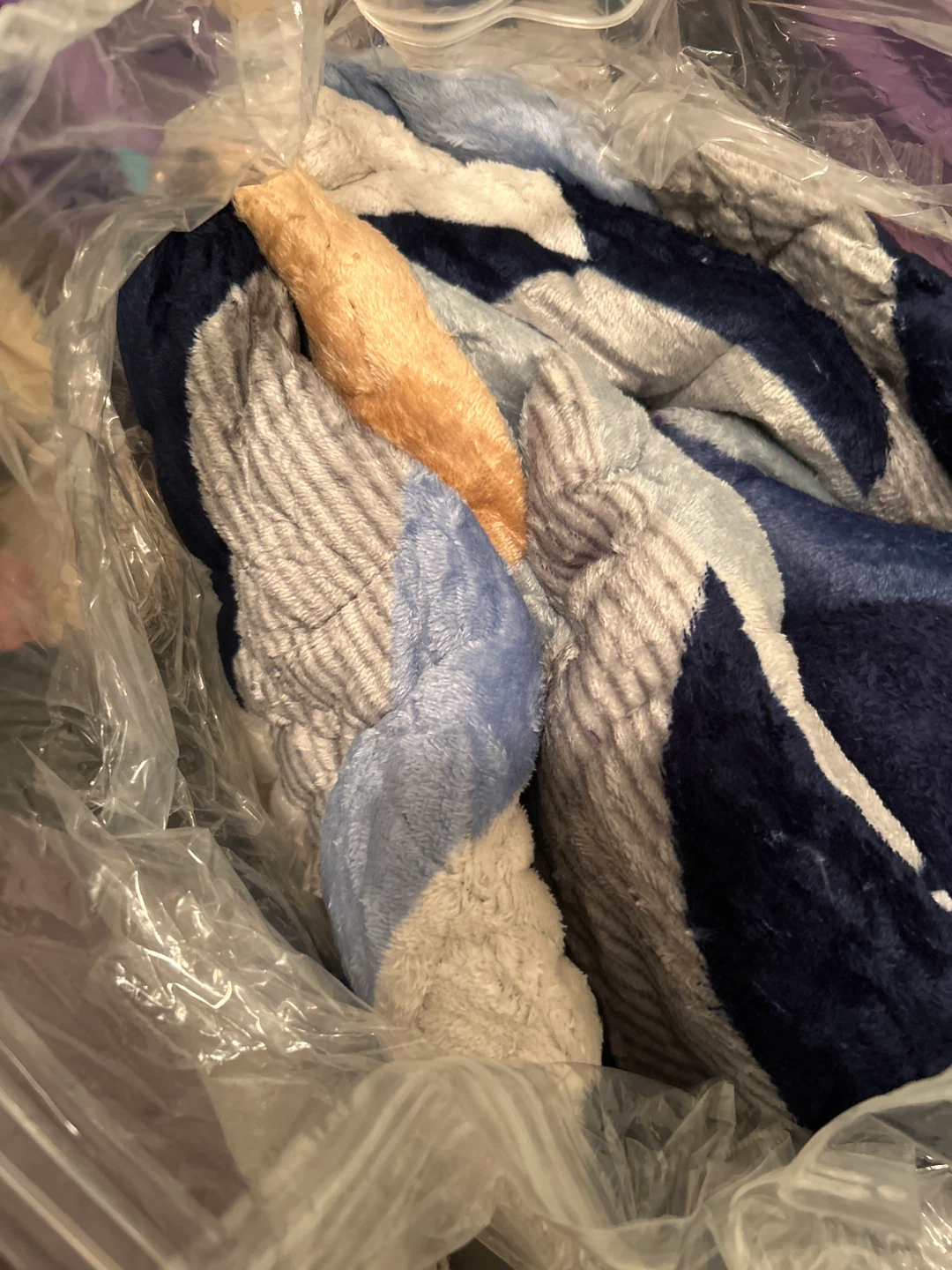 Blue and White Comforter
