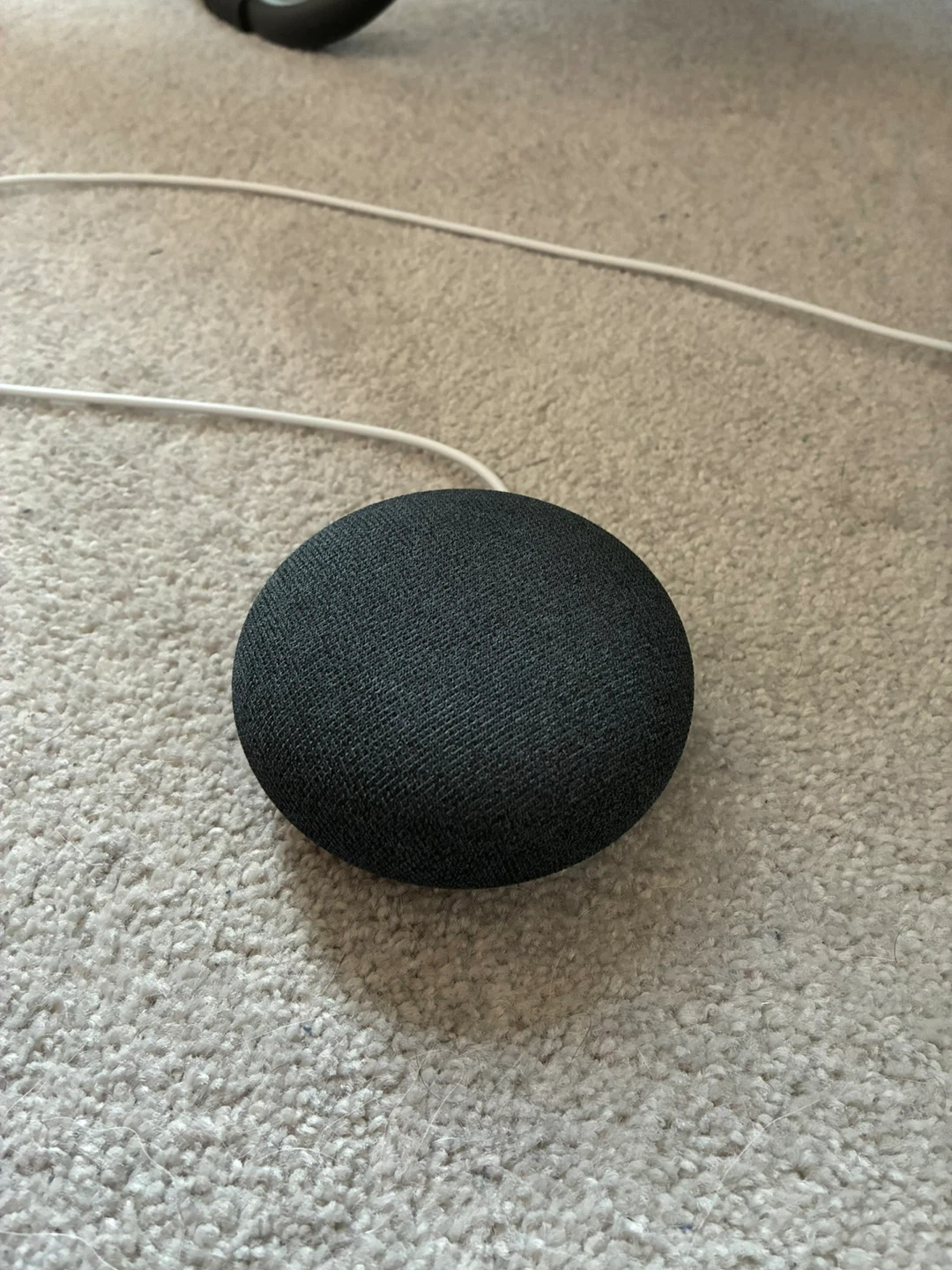 Google Nest Mini (Charcoal)