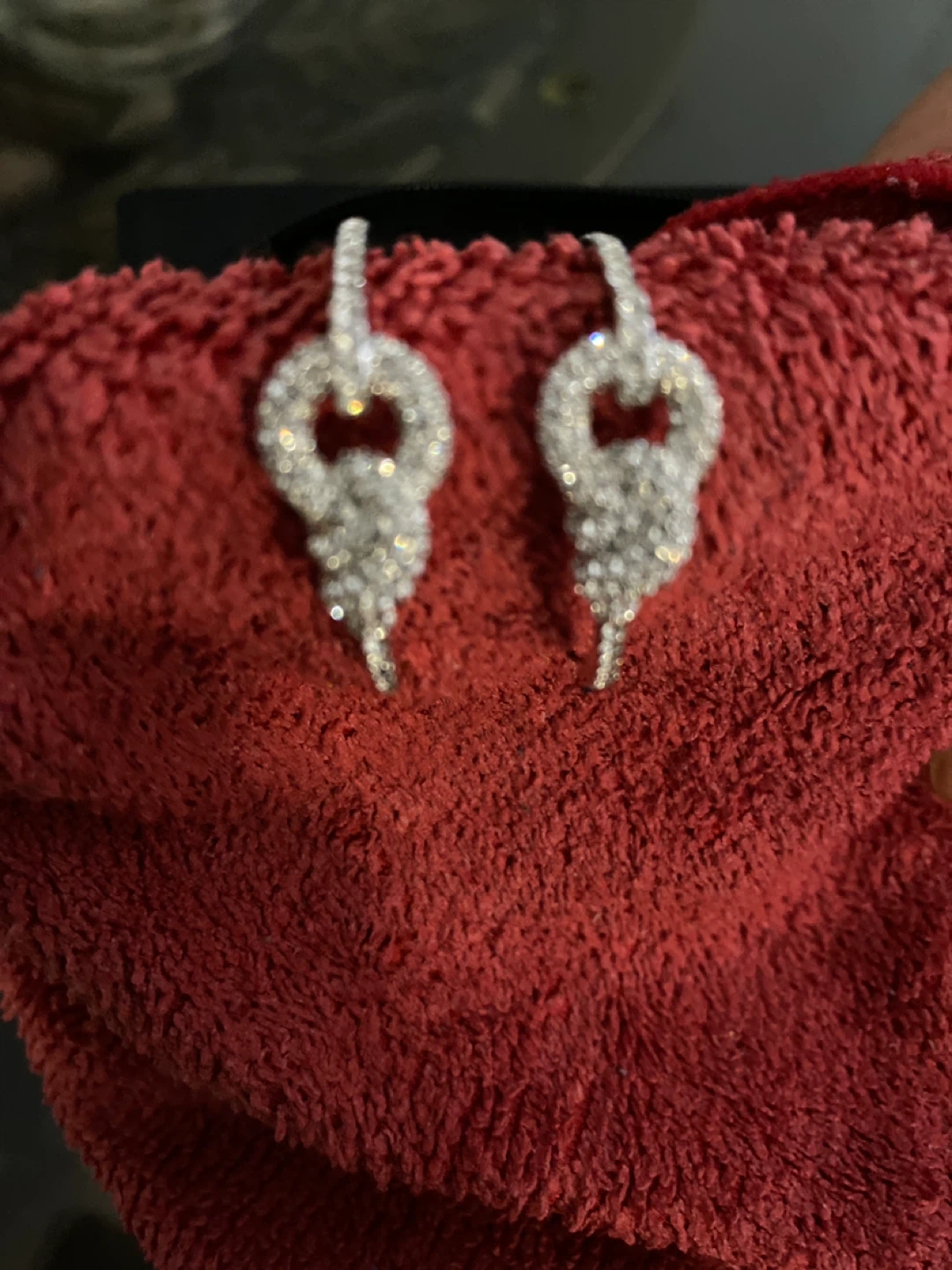 Fossil Earings