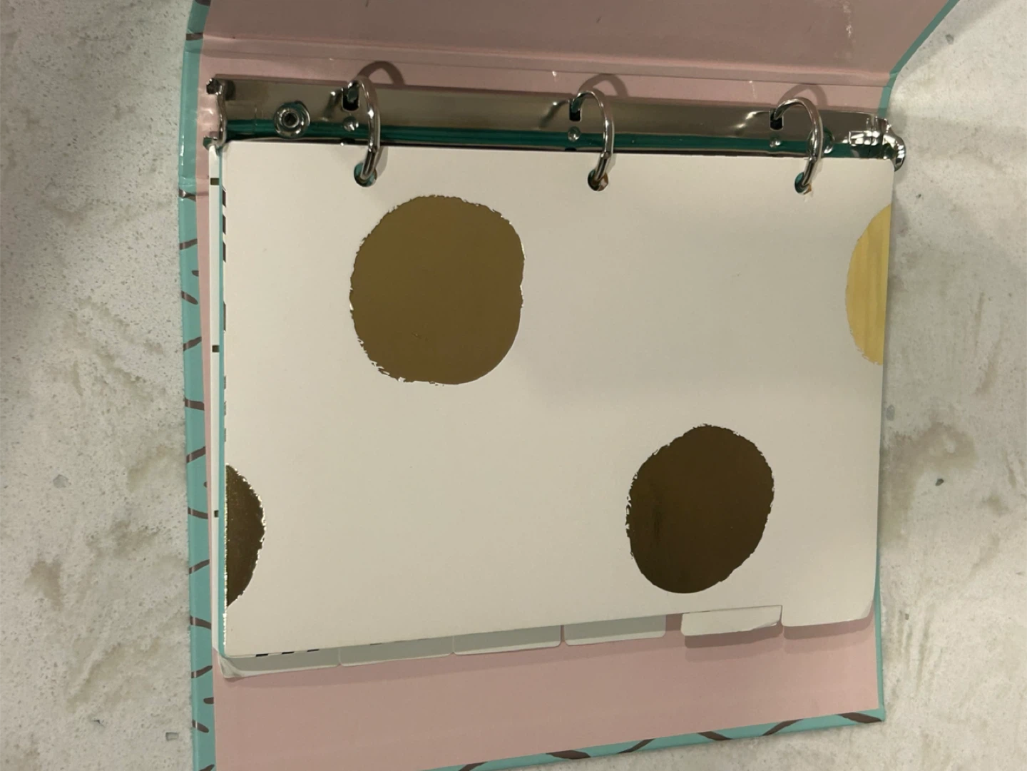 Mini Planner with Calendar Pages and Dividers - photo 5