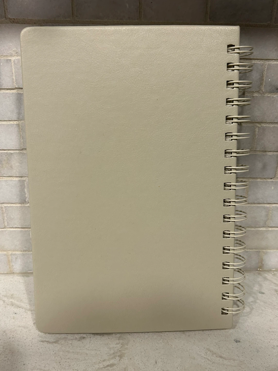FORM My Daily Check-In Journal - photo 2