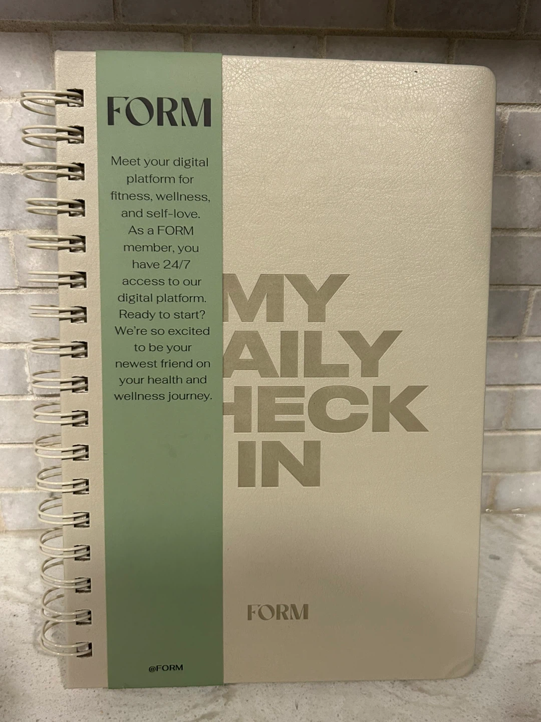 FORM My Daily Check-In Journal