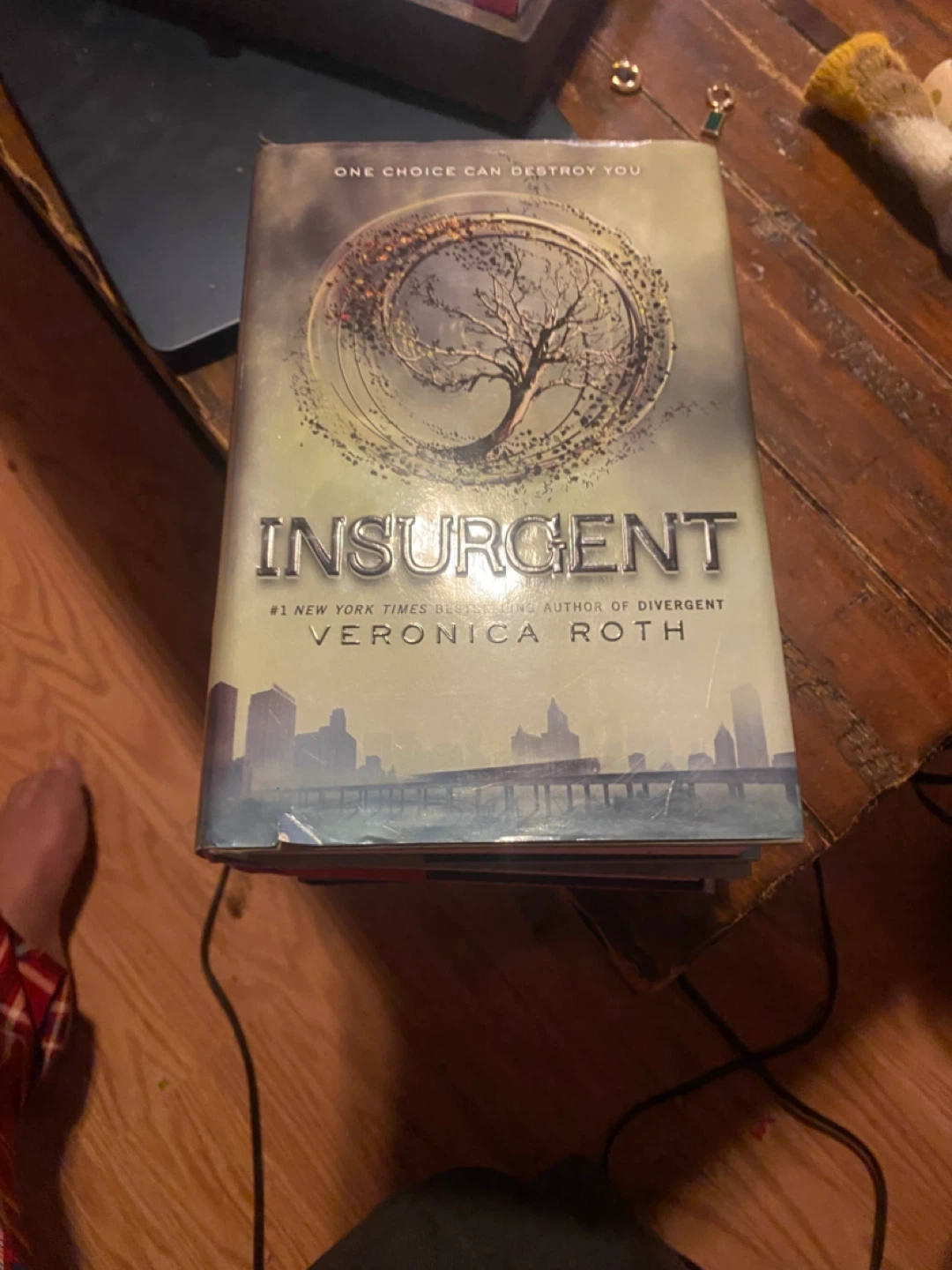 Divergent Series Books by Veronica Roth - photo 3