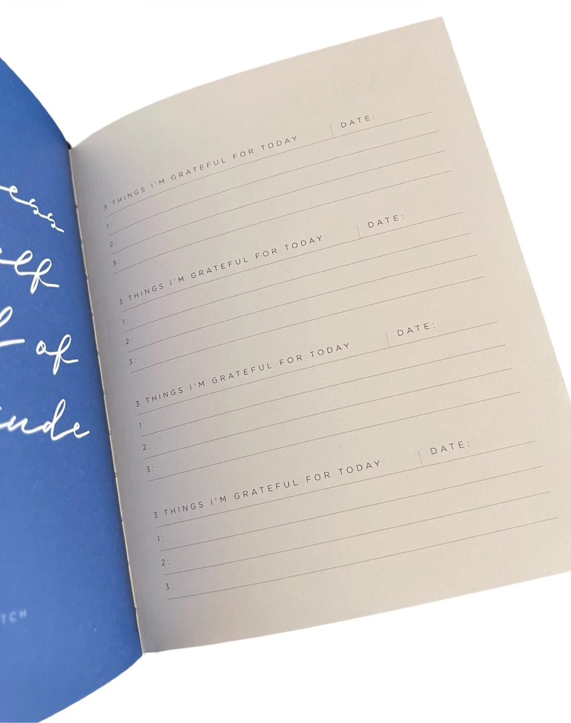 Gratitude Journal Cream Suede Hardcover NEW - photo 4
