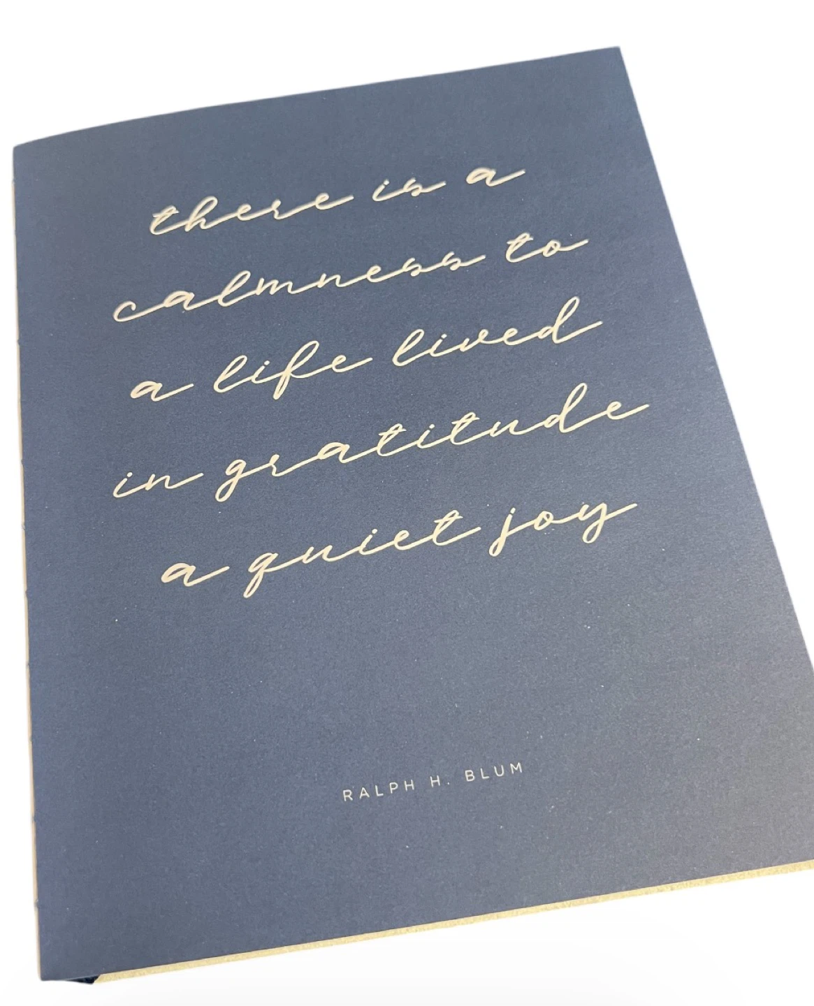 Gratitude Journal Cream Suede Hardcover NEW - photo 3