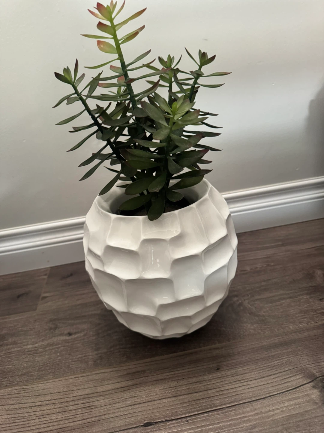 White Geometric Planter Pot