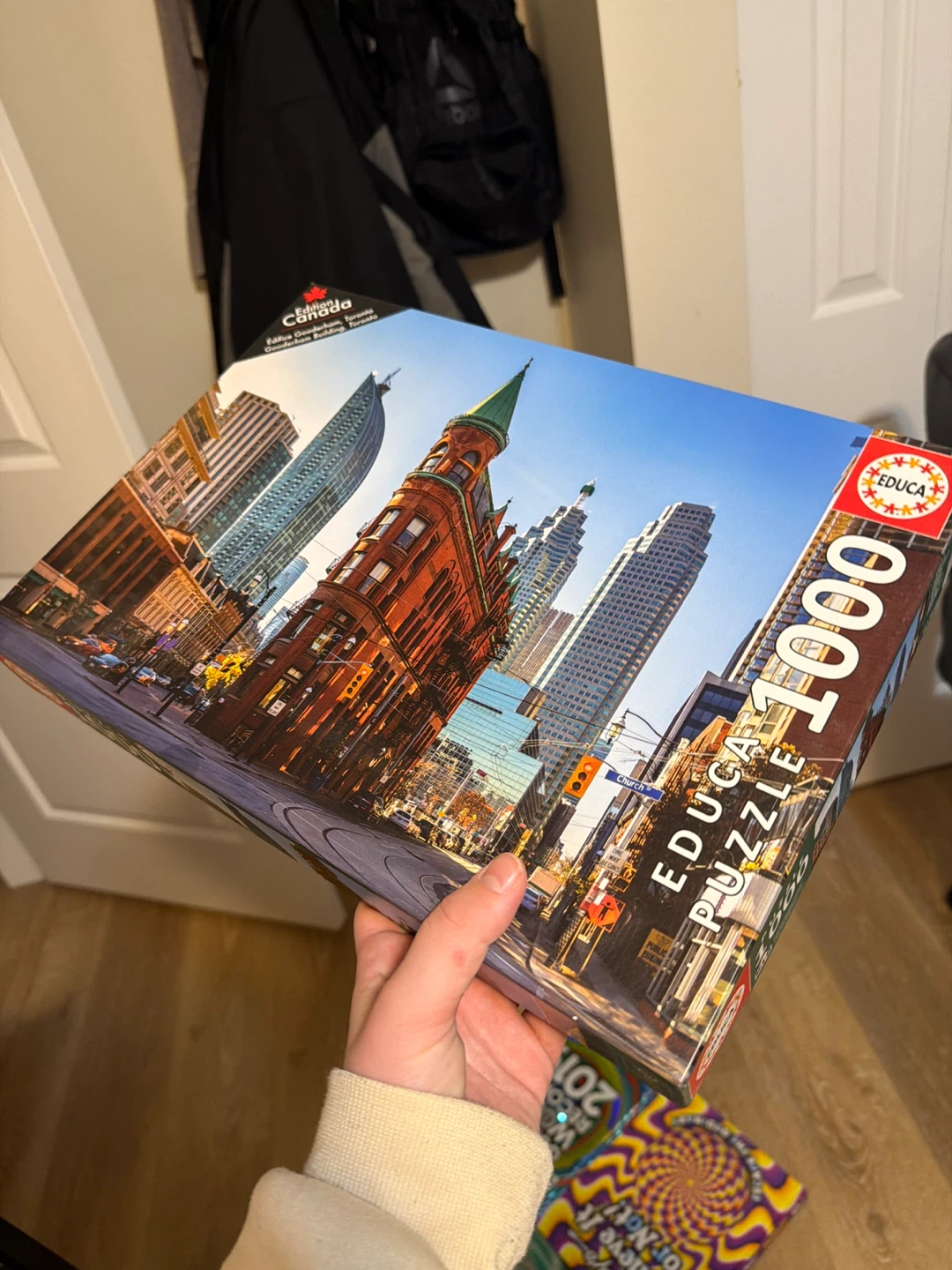 Educa 1000 Piece Puzzle - Toronto Skyline