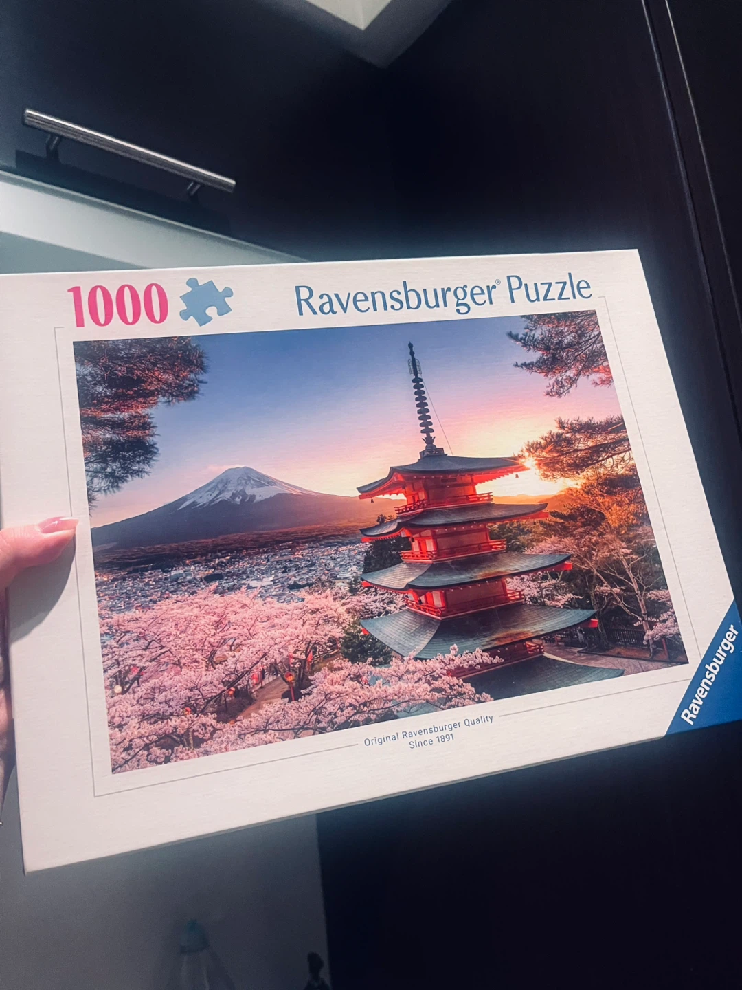 1000 piece jigsaw puzzle