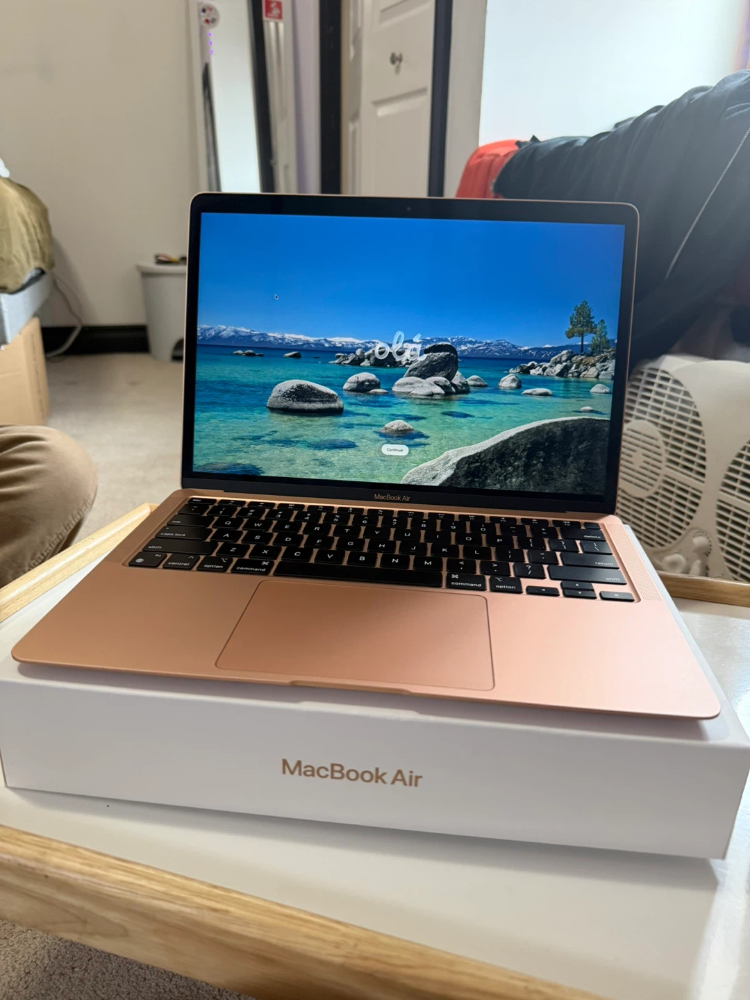 Apple MacBook Air (Rose Gold)