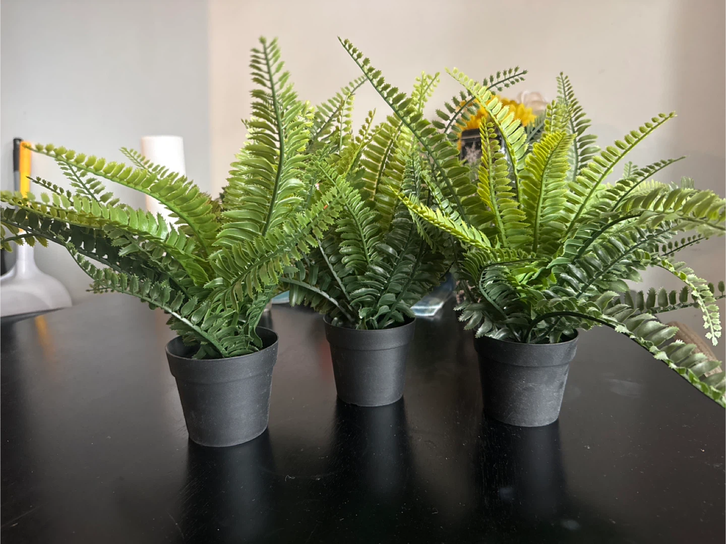 3 Artificial Fern Plants