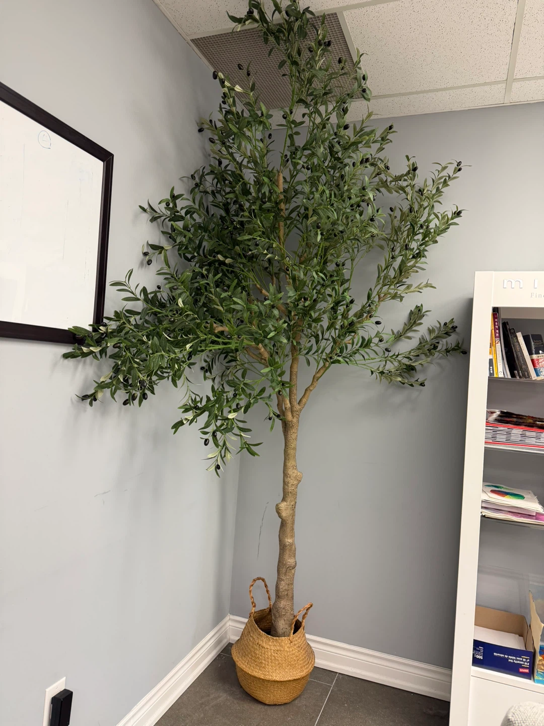 Artificial Olive Tree with Basket (crate & barrel)