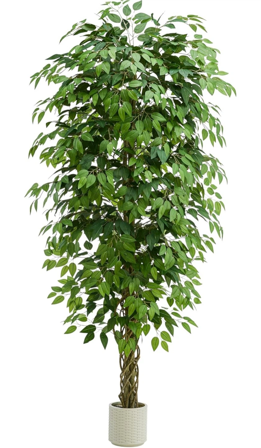 6ft Artificial Ficus Tree