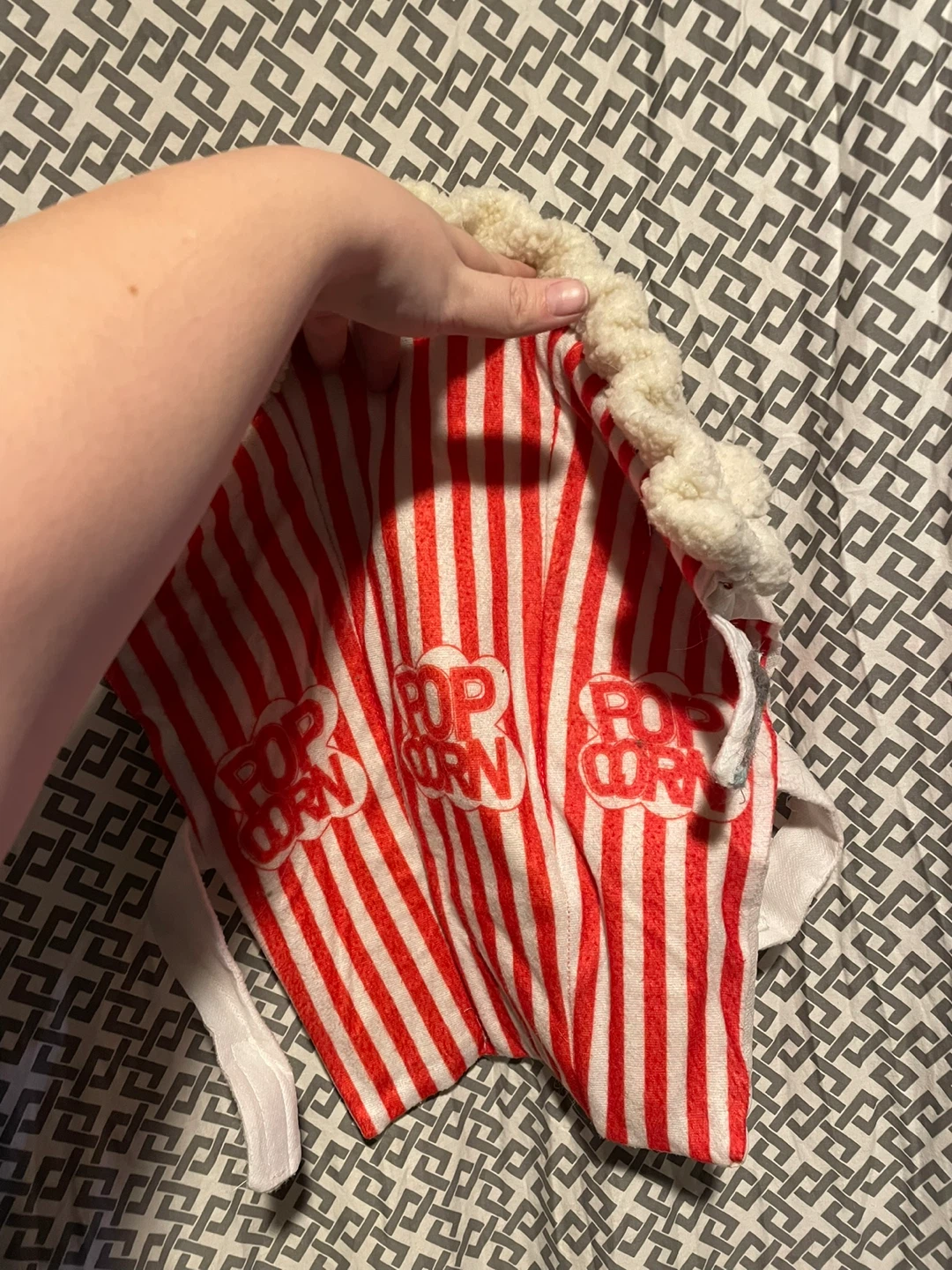 Popcorn bag dog Costume