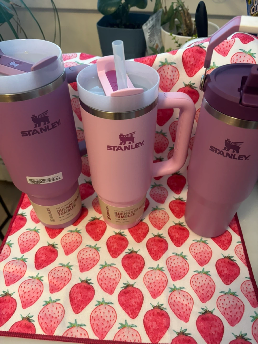 Stanley Quencher Tumblers (3-Pack)