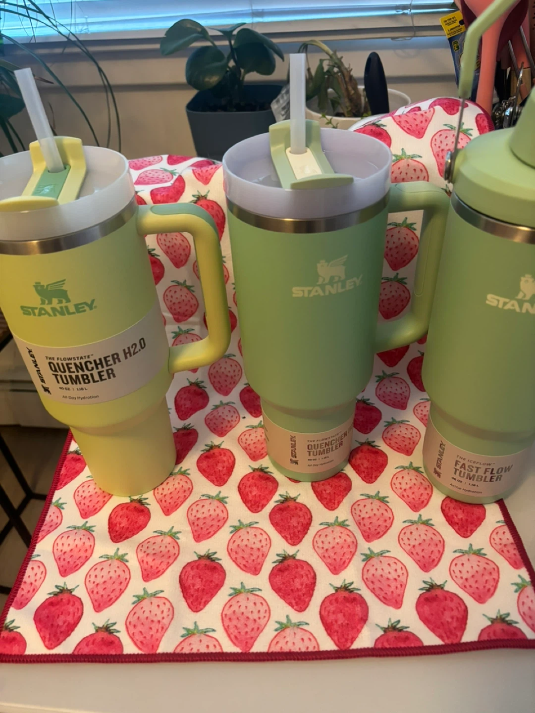 Stanley Quencher H2.0 Tumbler Set
