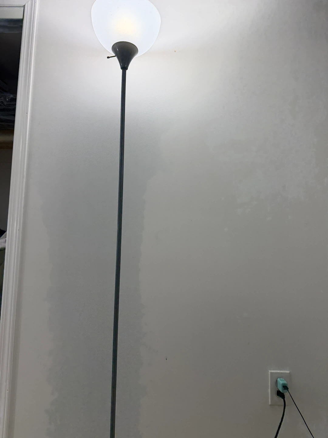 Black Floor Lamp with Frosted Shade - photo 5