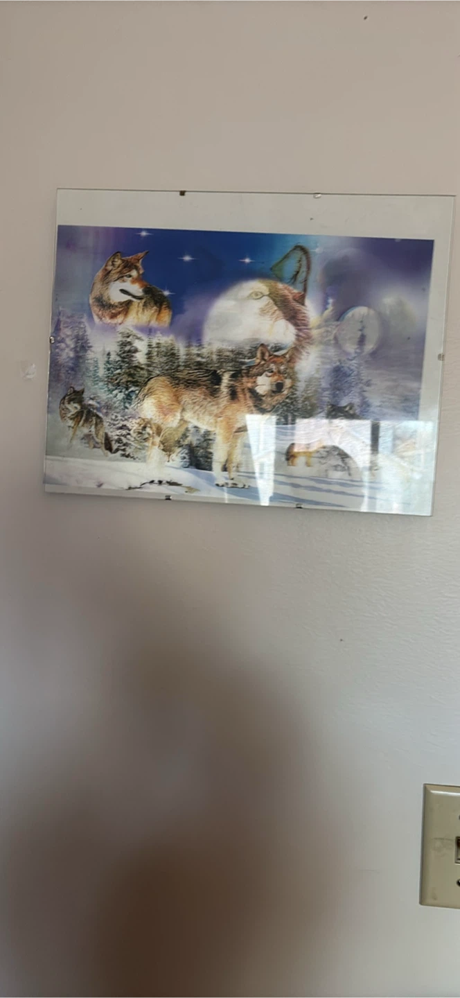 Wolf Scene Framed Art Print