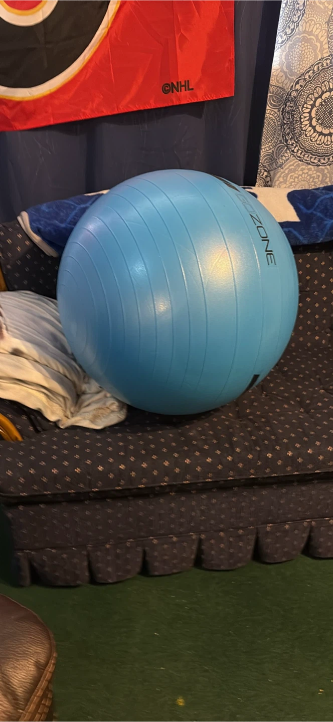 Light Blue "ZONE" Exercise Ball