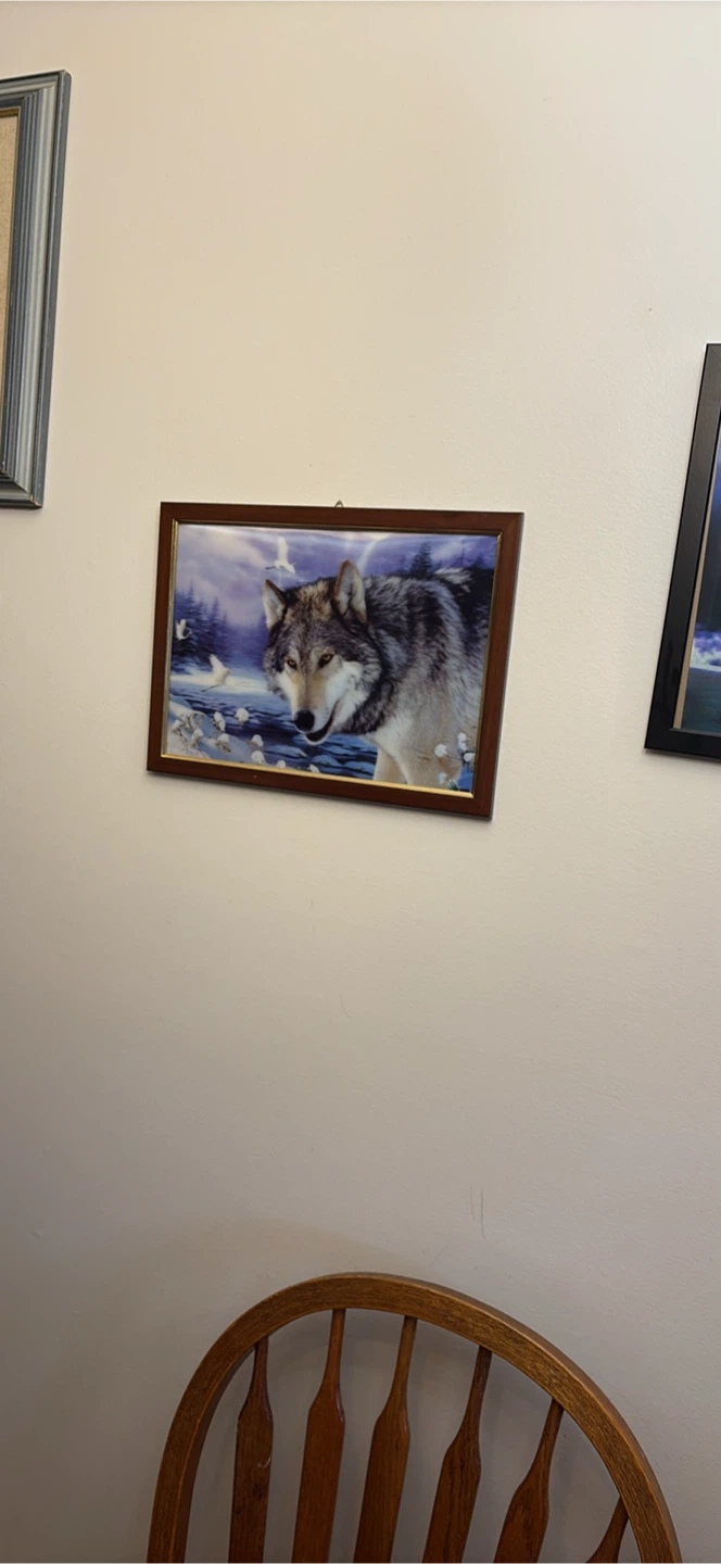 Framed Wolf Picture