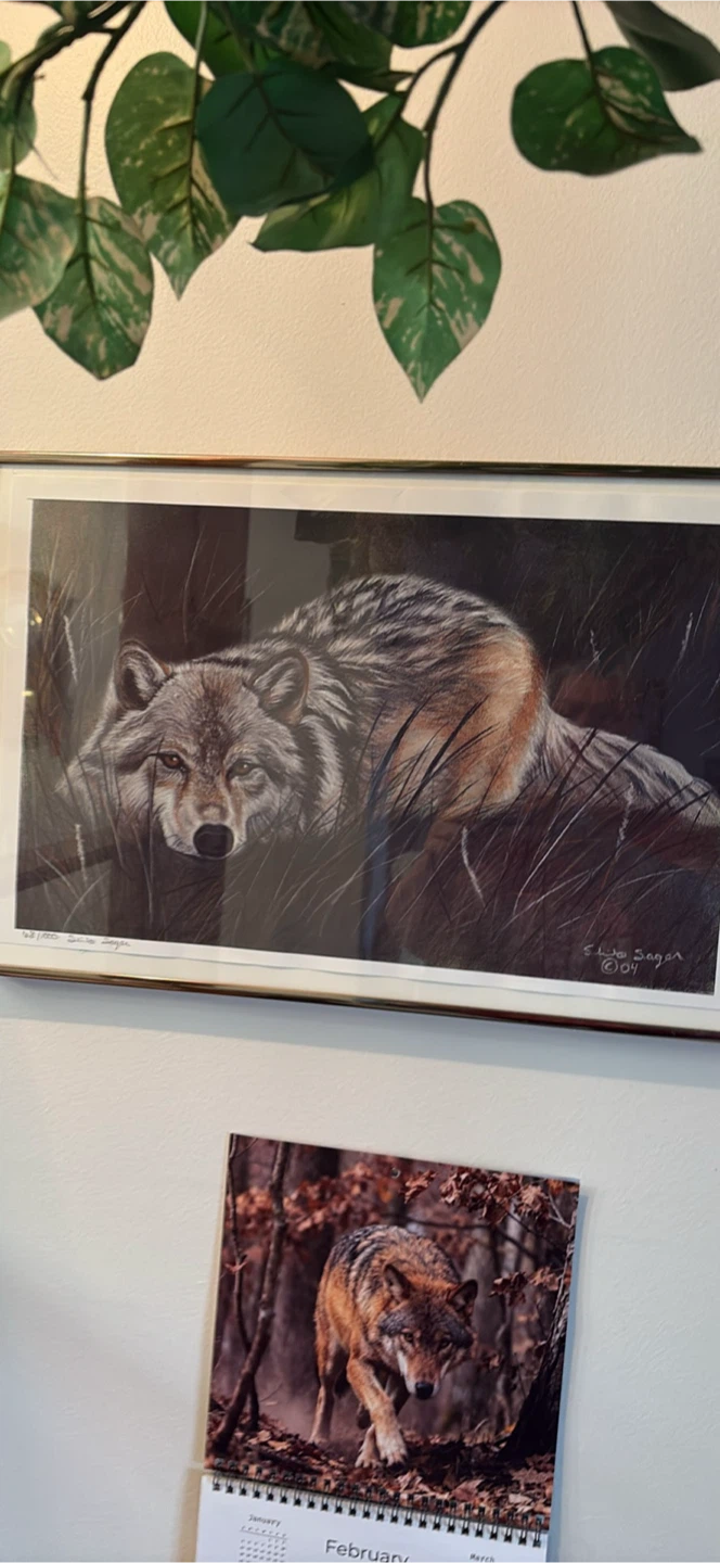 Framed Wolf Print by Dave Sagur