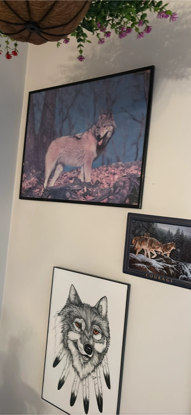 Framed Wolf Art Prints