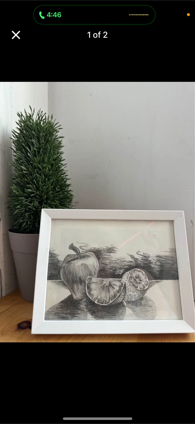 Framed Still Life Sketch of Fruit