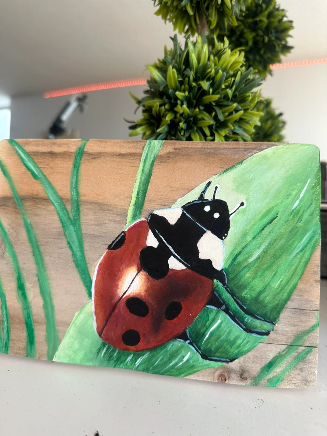 Hand-painted Ladybug on Wood Plaque