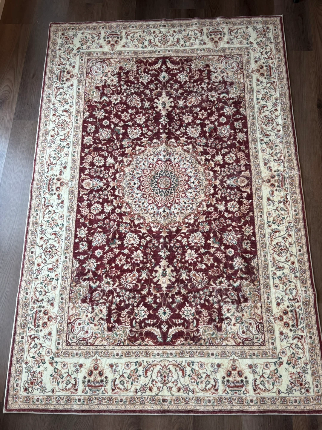 Persian Style Area Rug