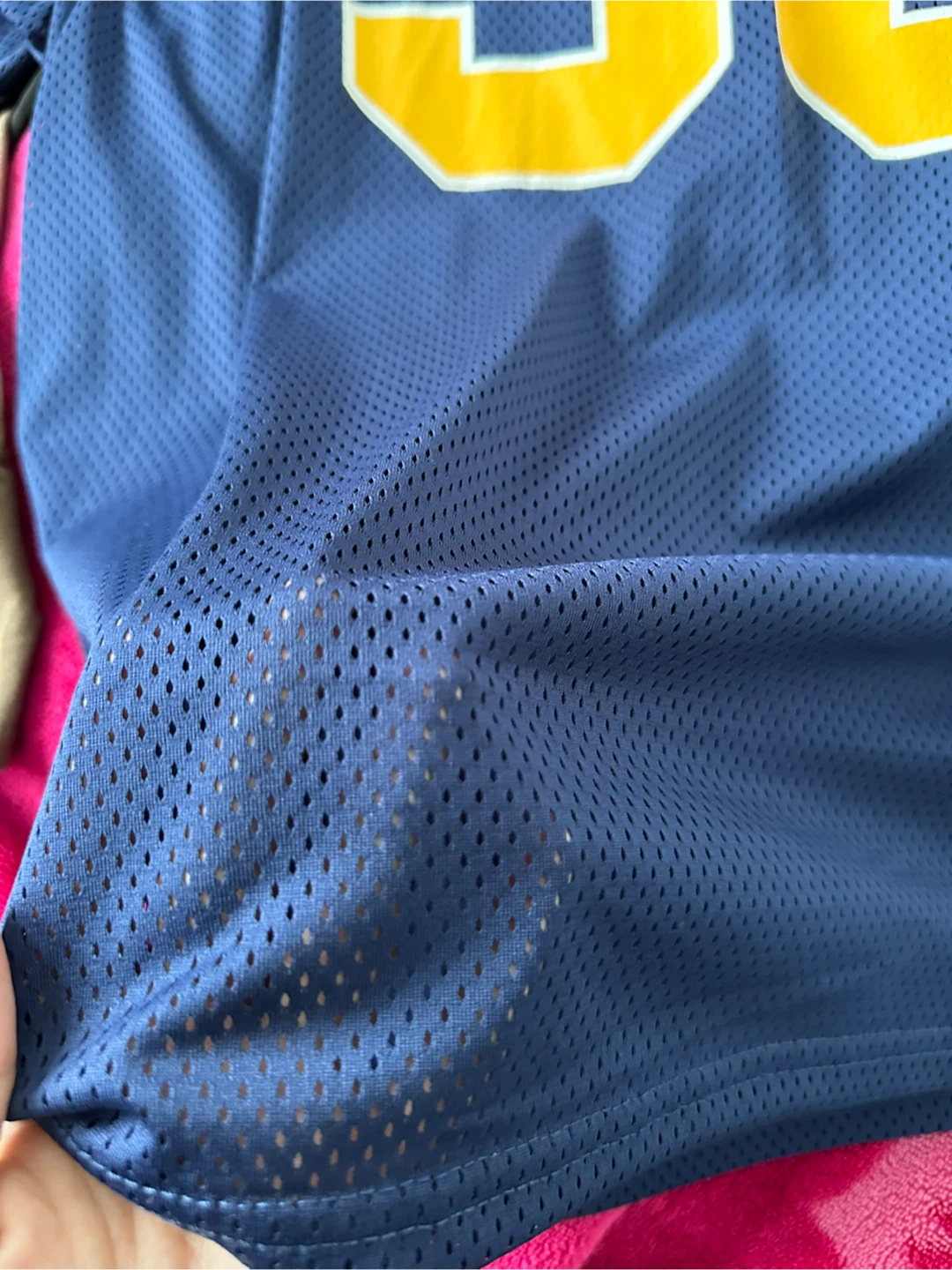 Chicago 36 Blue Mesh Jersey (M) - photo 4