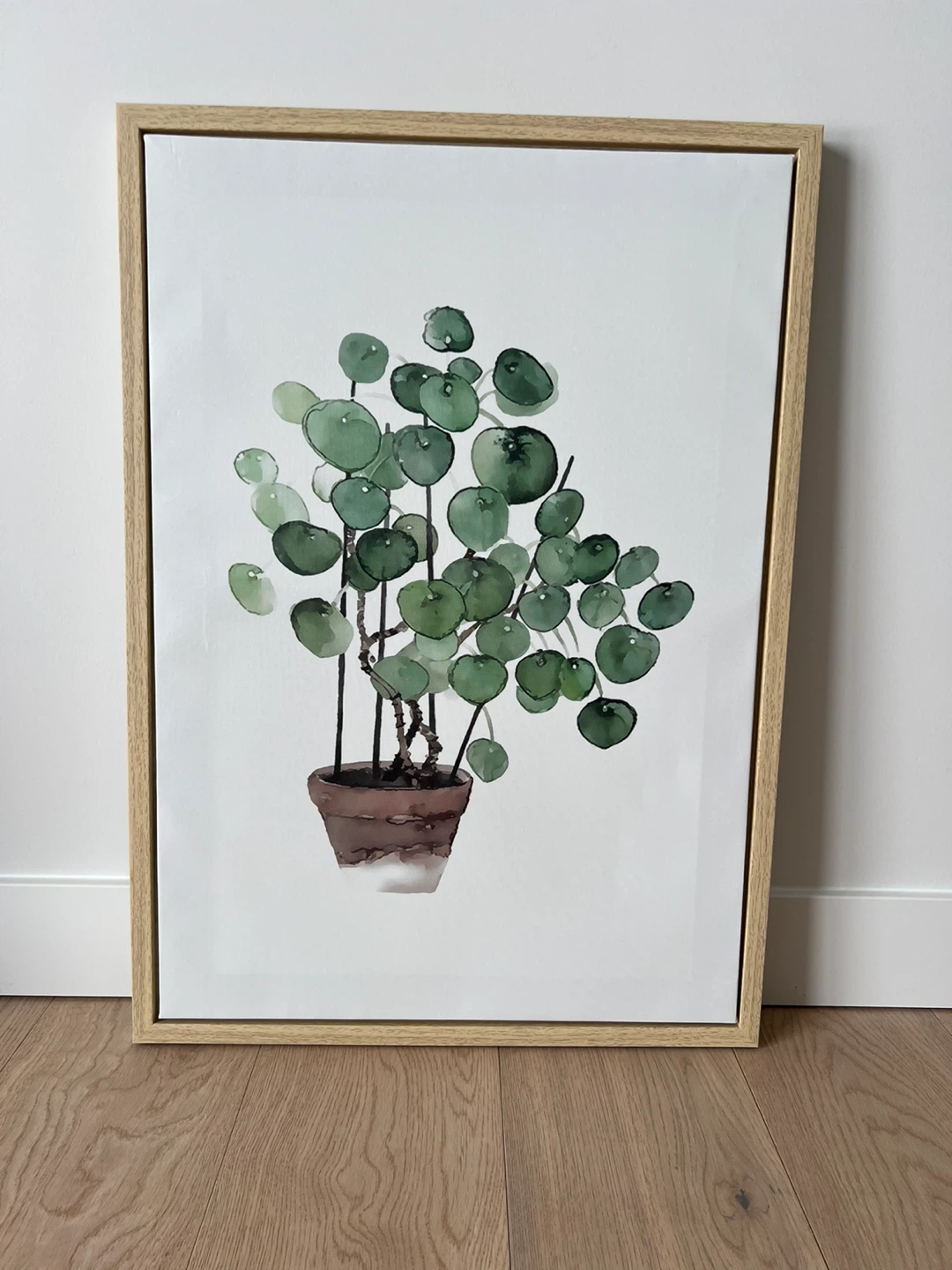 Framed Pilea Plant Print