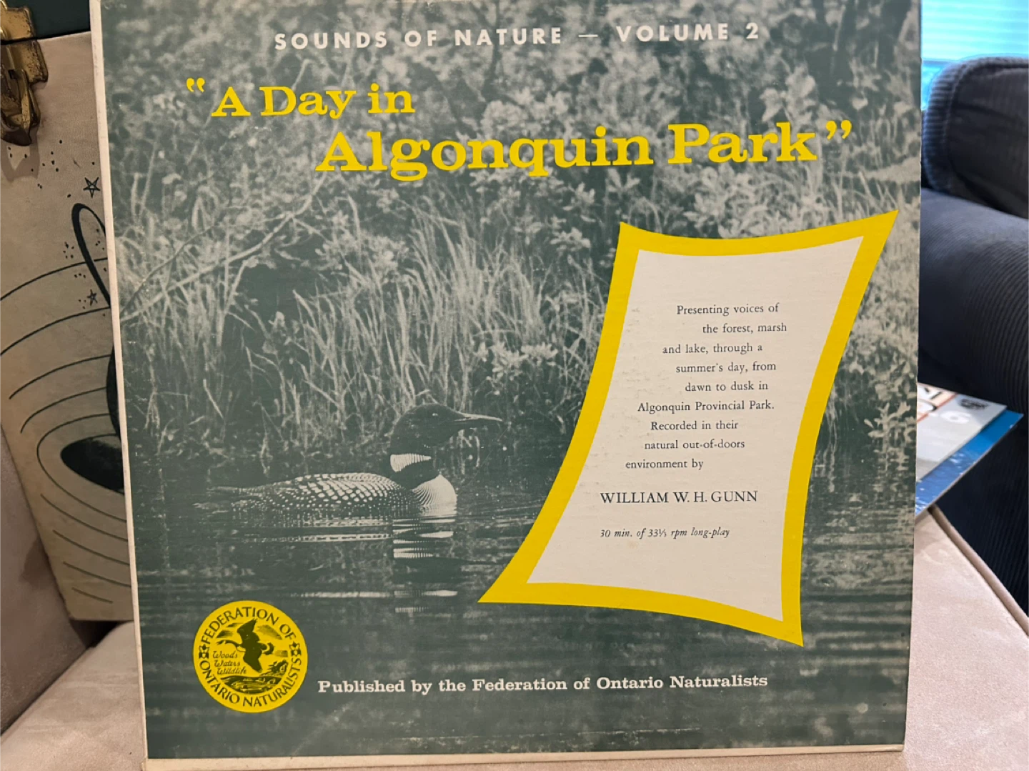 Various Classical and Soothing Sounds on Vinyl - photo 3