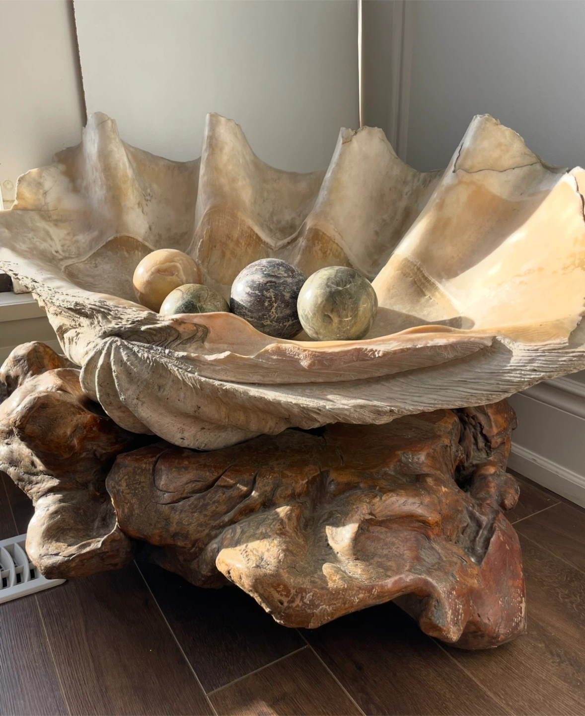 Giant Clam Shell with Stone pearls and custom wooden base - photo 5