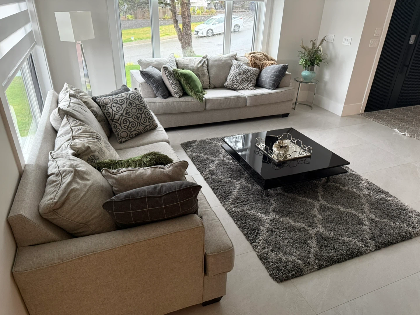 Two sofa with 18 pillows Center table and rug