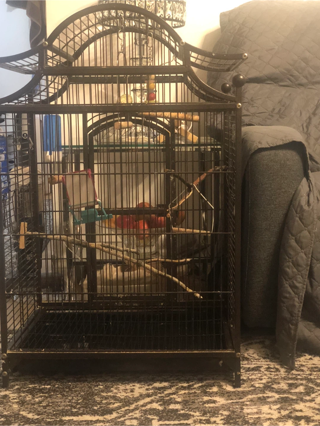 Ornate Black Bird Cage with Perches