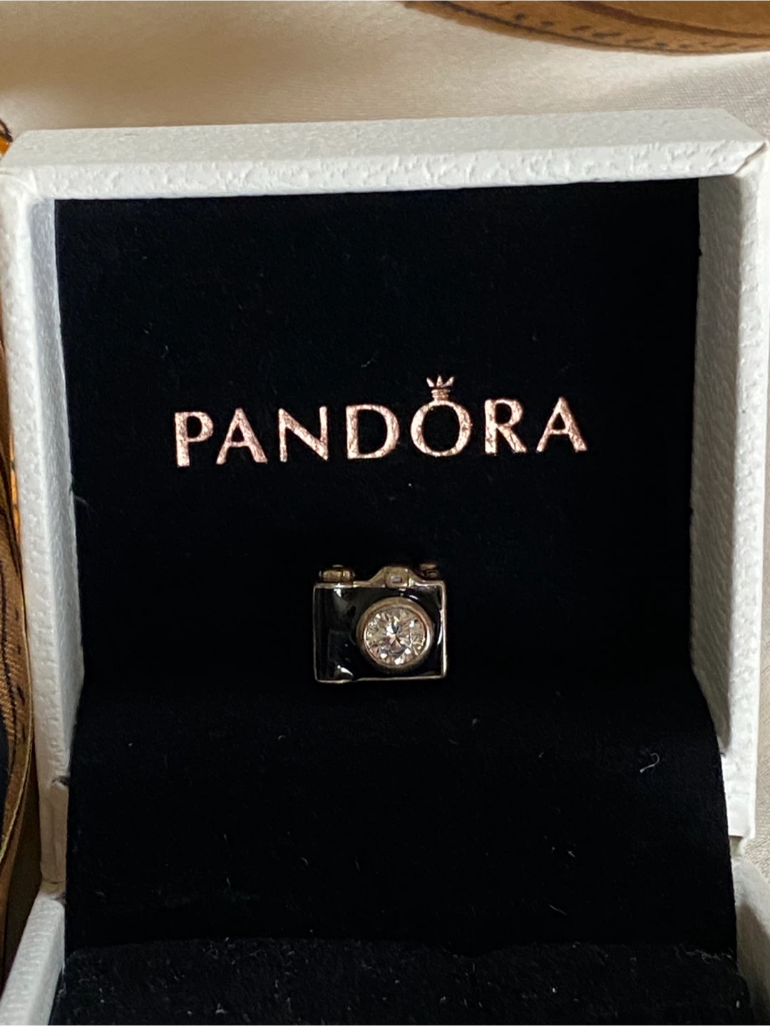 PANDORA "Sentimental Snapshops" Camera Charm