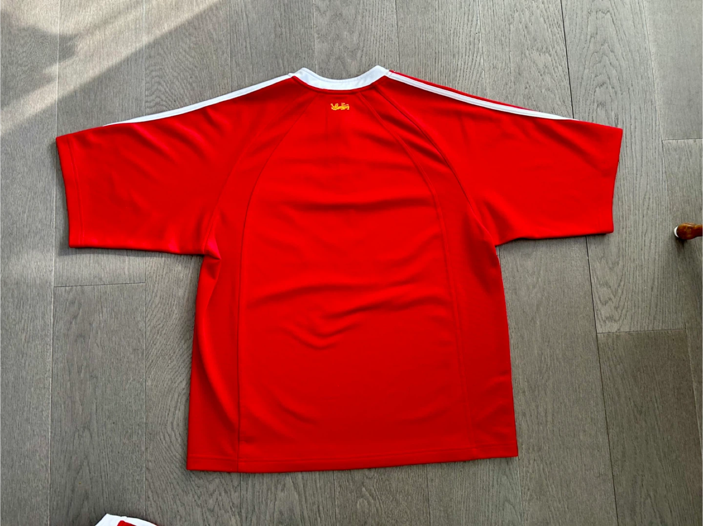 Adidas British/Irish Lions Rugby Jersey, 2005, never worn, Large - photo 2