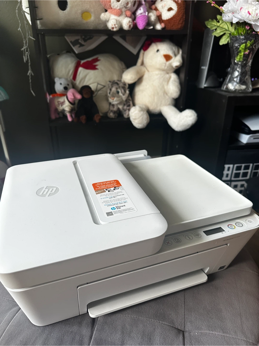 HP DeskJet 4152e All-in-One Printer - photo 3