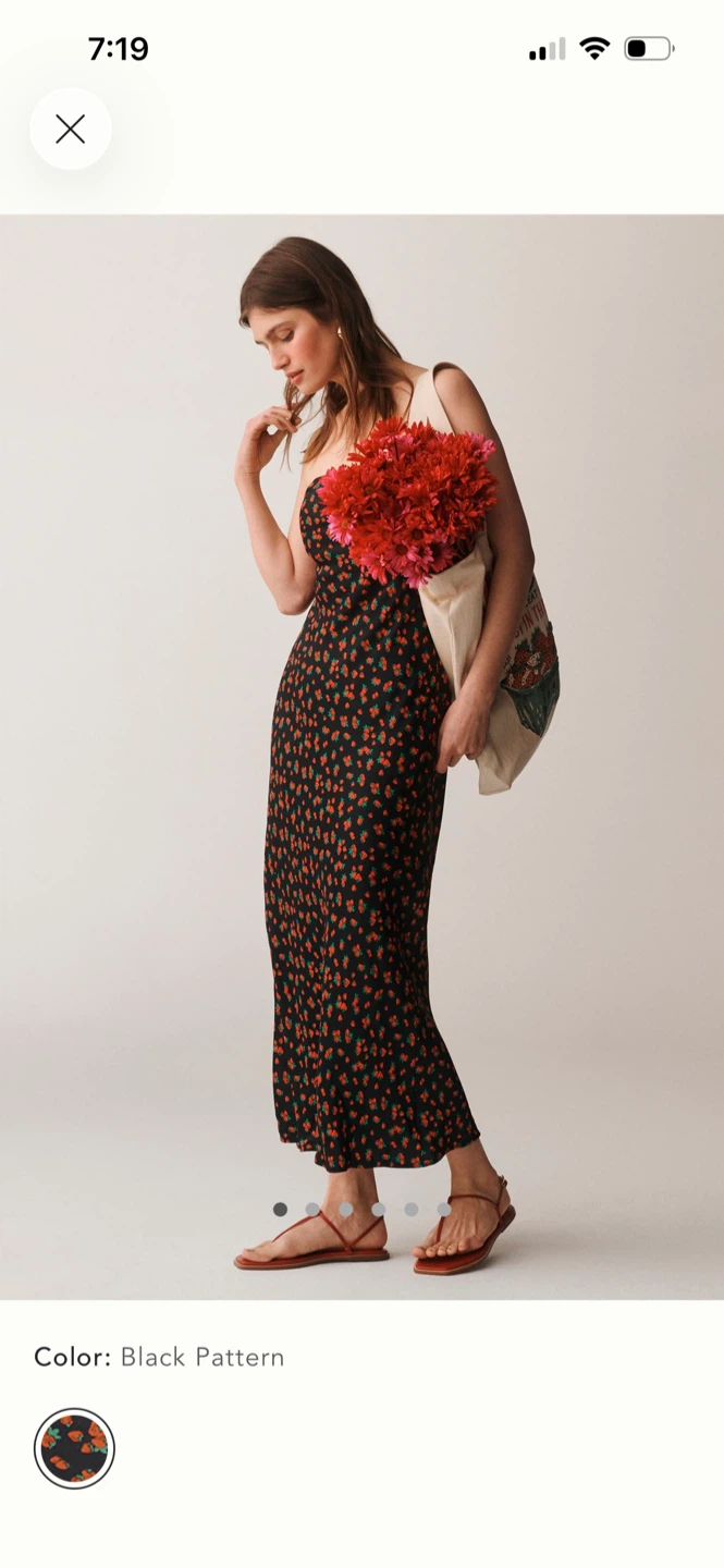BNWT Anthropologie Tilda Dress XXS P (runs large!)