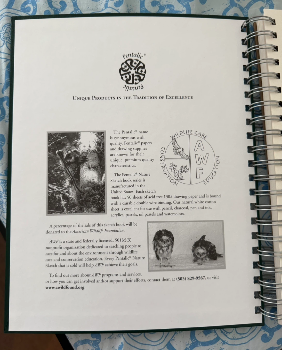 Pentallic Nature Art Sketchbook 11 x 8.5in - photo 3